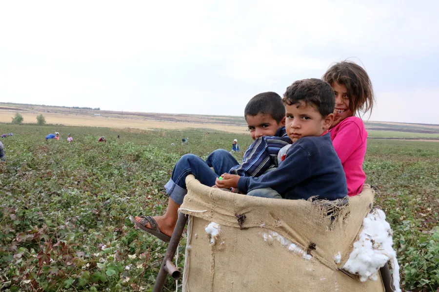 Mevsimlik tarım işçisi ailelerin çocuklarına eğitim desteği