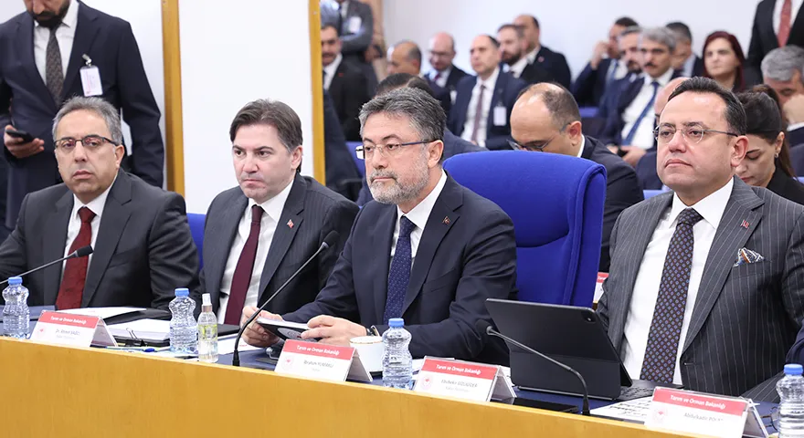 Türkiye Avrupa Birincisi Ama Et İthal Ediyor