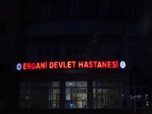 Ergani’de Aile Tartışması Çifte Cinayetle Sonuçlandı: 6 Gözaltı