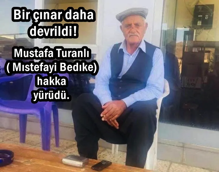  Bir çınar daha devrildi!